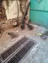 Катунски кокошки, снимка 2