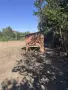 Дворно място с. Калояново, снимка 8
