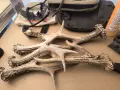 сръндак рогчета, снимка 6