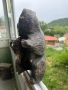 Старинна мечка за шише, снимка 2