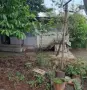 Вила 50м2, парцел 3112м2, 73500 евро, Страшимирово, снимка 3
