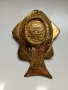 пепелник риба, снимка 4