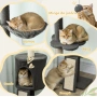 Високо котешко дърво PawHut, снимка 5