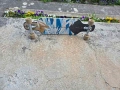 longboard , снимка 2