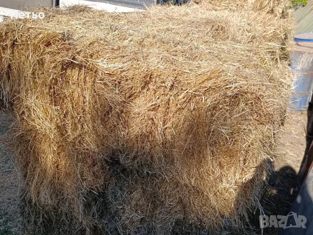 Продавам бали сено, снимка 4 - За селскостопански - 55504211
