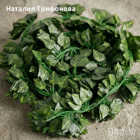Комплект 5 бр. изкуствен бръшлян обща дължина 11.5 м – реалистична висяща декорация за стена, балкон, снимка 5 - Декорация за дома - 54318779
