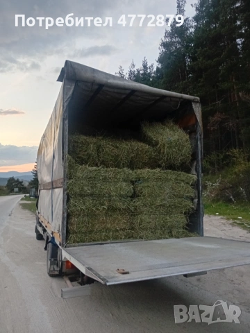 Люцерна и сено мешено