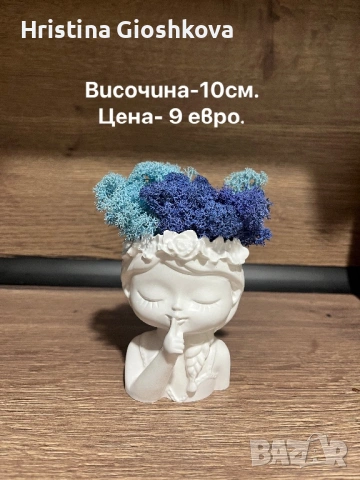 Декорация със скандинавски мъх