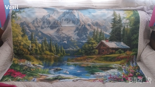 Картини от плат