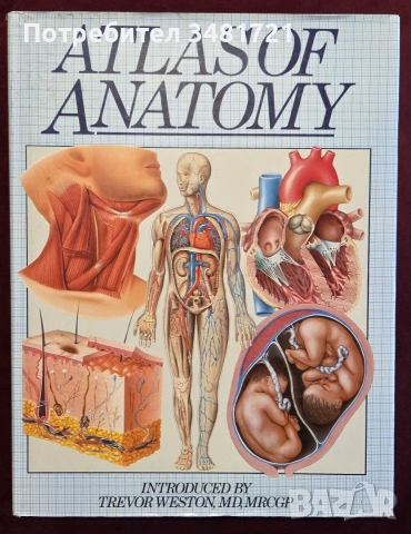 Атлас по анатомия / Atlas of Anatomy