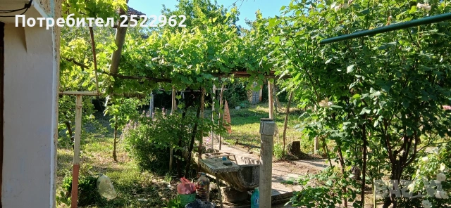 Продавам къща в село Гиген, снимка 10 - Къщи - 55160527