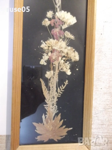 Пано декоративно от сушени цветя, снимка 4 - Пана - 54151388