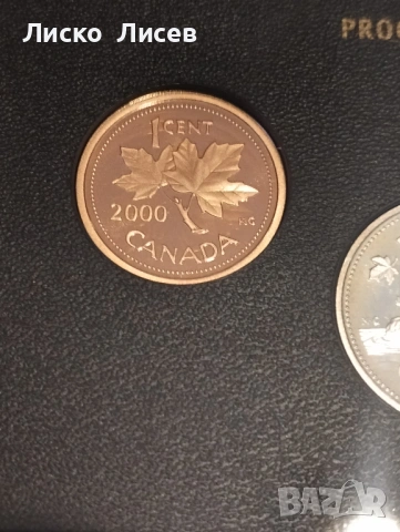 Канада сет мат-гланц 2000г., снимка 17 - Нумизматика и бонистика - 54289831