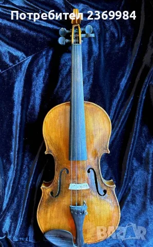 Цала цигулка Pietrus Ambrosi, снимка 3 - Струнни инструменти - 55573966