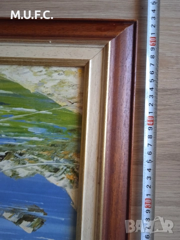 Картина масло оригинал подпис 50-60, снимка 5 - Картини - 54910099