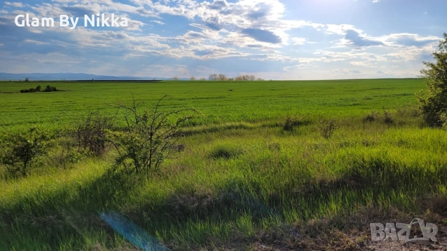 Продава Земя Доброславци, снимка 4 - Земеделска земя - 54602689