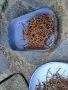 Стари ръждясали пирони безплатно, снимка 5