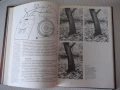 Книга "Экспозиция в фотографии - Л. Гонт"- 200 стр., снимка 6