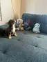 Две прекрасни момченца, снимка 4