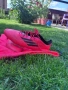 Бутонки adidas adults f50 elite firm ground (fg). 43 номер, снимка 2