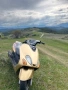 Скутерът не е каран дълго време без забележки, снимка 1