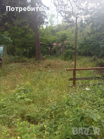 Парцел плюс виличка Войнеговци, снимка 4 - Парцели - 55276032