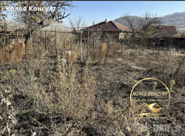 къща село Сталево ,област Хасково, снимка 3 - Къщи - 55211412
