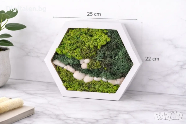 Жива картина пчелна пита 25x22 см Скандинавски мъх