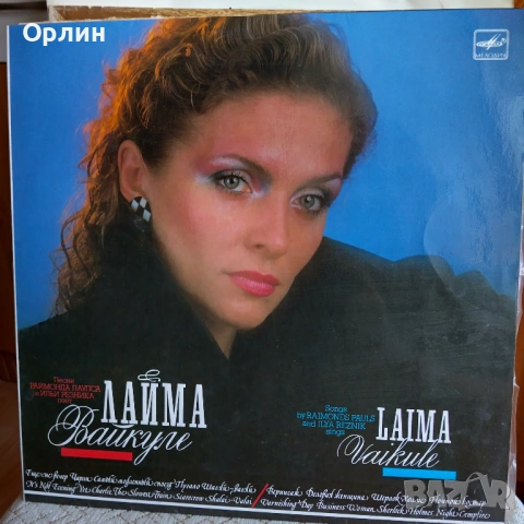 Грамофонни плочи, снимка 3 - Грамофонни плочи - 54917972