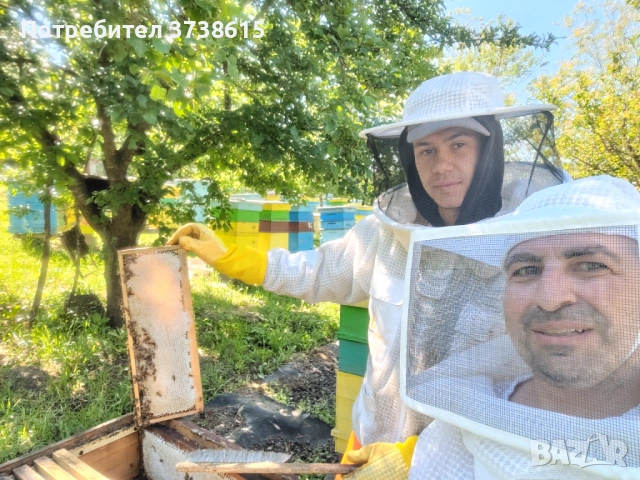 Пчелен мед от рапица 