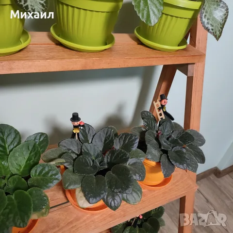 Настолен цветарник, снимка 2 - Саксии и кашпи - 55643889