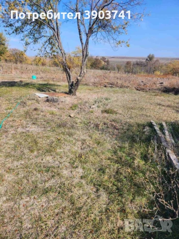 Къща за продан в село Първенец, област Ямбол, снимка 11 - Къщи - 54886620