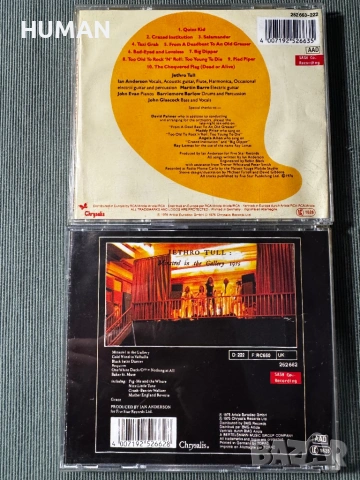 Jethro Tull - Ian Anderson, снимка 10 - CD дискове - 54543397