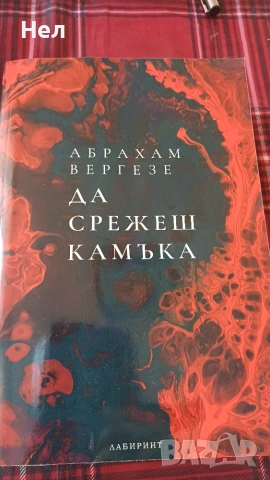 Да срежеш камъка. Абрахам Вергезе
