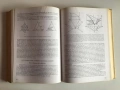 Магматична петрология – Проф. Борислав Каменов 2003 г., снимка 6