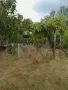 къща с двор кладенец и сонда , две приземни стаи, стопански сгради, асма, снимка 3