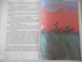 Книга "Синът на ловеца на мечки - Карл Май" - 264 стр., снимка 5