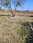 Къща за продан в село Първенец, област Ямбол, снимка 11