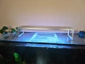 Лампи за аквариум Week Aqua , снимка 3