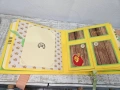 Албум за новородено на тема "Цар Лъв" , снимка 6