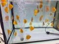 Дискуси, снимка 7