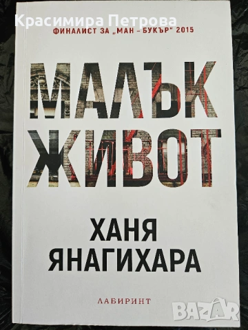 Малък живот - Ханя Янагихара