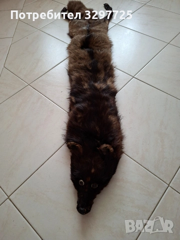 Кожухчета от лисица!, снимка 13 - Палта, манта - 53996386