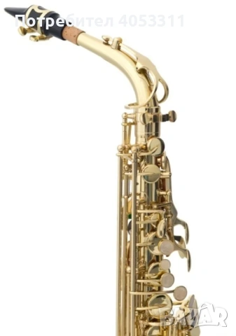 Victory VAS Student 02 Алт саксофон, снимка 4 - Духови инструменти - 54031933