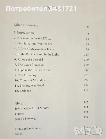 The City of Light, снимка 2 - История, политика и общество - 55362466