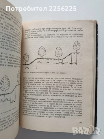 Практически наръчник на младия овощар, снимка 3 - Специализирана литература - 54763492