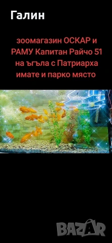 легла къщички драскалки, снимка 17 - За кучета - 54594905