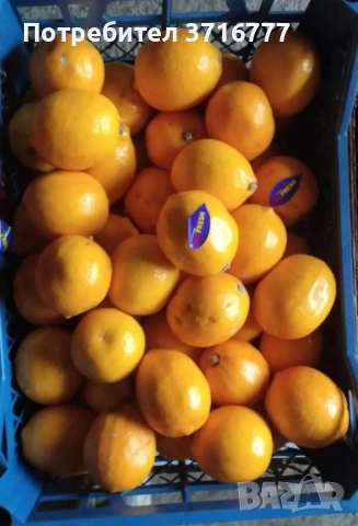 зеленчуци и плодове , снимка 12 - Други стоки за дома - 54265438