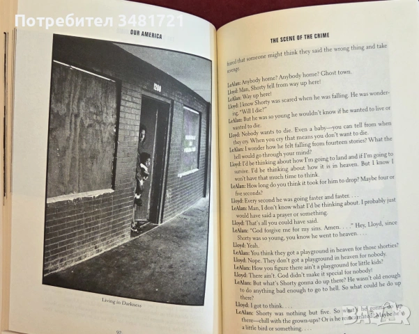 Живот и смърт в южната част на Чикаго / Our America. Life and Death on the South Side of Chicago, снимка 12 - История, политика и общество - 55065596
