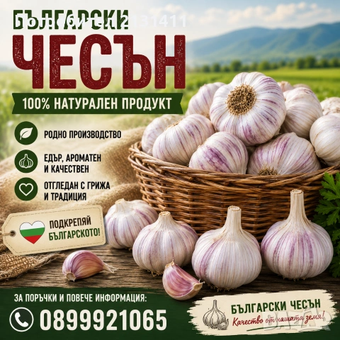 Български чесън 